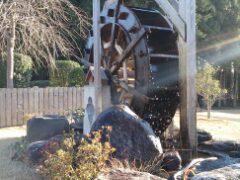 Thumbnail of post image 154