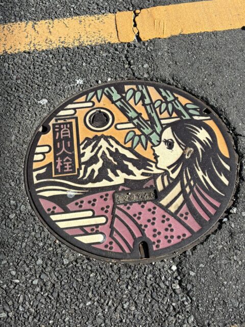 かぐや姫マンホール